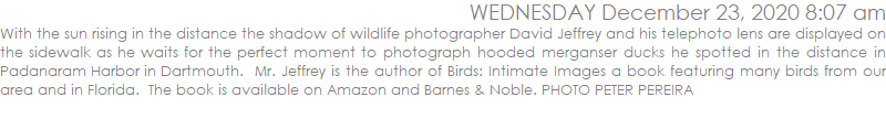 With the sun rising in the distance the shadow of wildlife photographer David Jeffrey and his telephoto lens are displayed on the sidewalk as he waits for the perfect moment to photograph hooded merganser ducks he spotted in the distance in Padanaram Harbor in Dartmouth.  Mr. Jeffrey is the author of Birds: Intimate Images a book featuring many birds from our area and in Florida.  The book is available on Amazon and Barnes & Noble. PHOTO PETER PEREIRA 