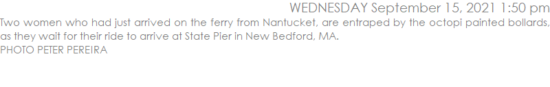 Two women who had just arrived on the ferry from Nantucket, are entraped by the octopi painted bollards, as they wait for their ride to arrive at State Pier in New Bedford, MA.