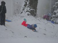 Children take advantage of the falling snow to enjoy some sledding in Fairhaven. PHOTOS PETER PEREIRA