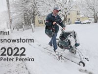 Postman Josh Ashley fights the driving snow and cold weather, as he make his way up Main Street in Fairhaven using a cart to deliver mail during the first snowstorm of the year. PHOTOS PETER PEREIRA