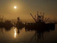 The sun rises above Pope's Island Marina in New Bedford on a foggy morning.