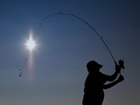 A man seemingly casts the early morning sun as he fished from the wharf in Mattapoisett.