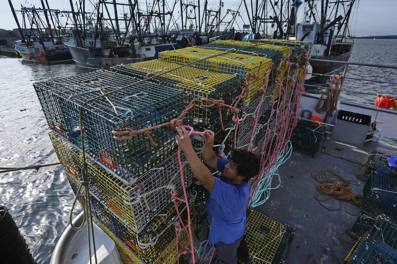 A fisherman aboard the Max & Emma lobster boat, ties the traps together before heading out to sea from Fairhaven, MA.  PHOTO PETER PEREIRA