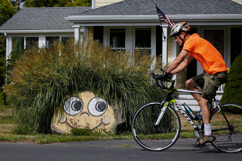 A cyclist makes his way past a painted rock, with greenery for hair, on Smith Neck Road in Dartmouth, MA. PHOTO PETER PEREIRA