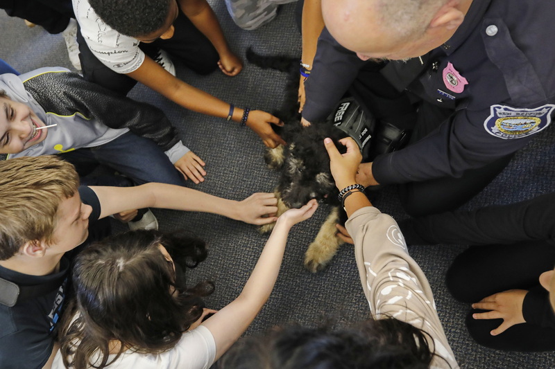 Roosevelt Middle School students greet Rosie, after the comfort dog was sworn into the New Bedford police department. PHOTO PETER PEREIRA