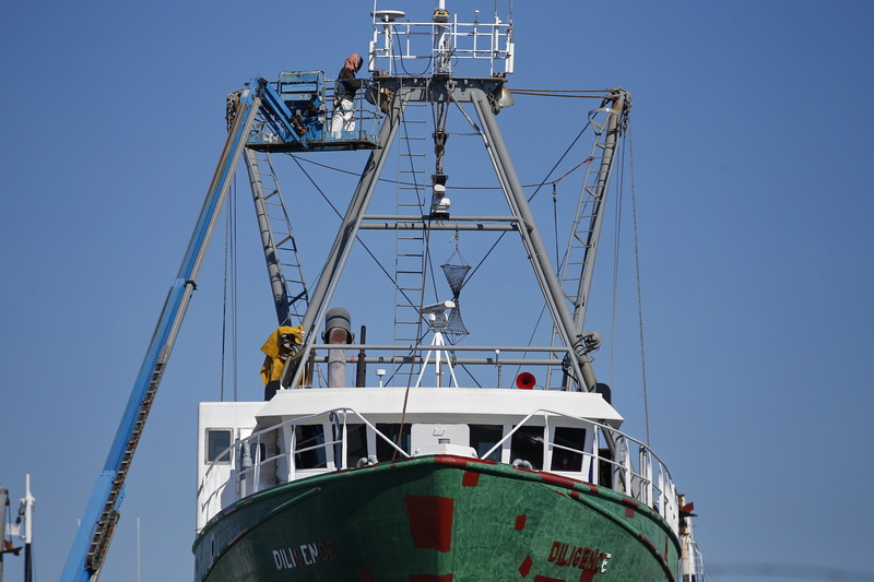 A worker finds himself high above Fairhaven Shipyard as he makes repairs to the masts of the fishing boat Diligence. PHOTO PETER PEREIRA