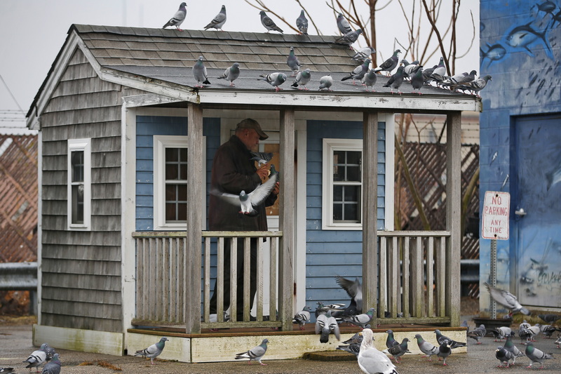 A man is surrounded by pigeons as he takes shelter from the rain in the small guard house on New Bedford, MA waterfront.  PHOTO PETER PEREIRA