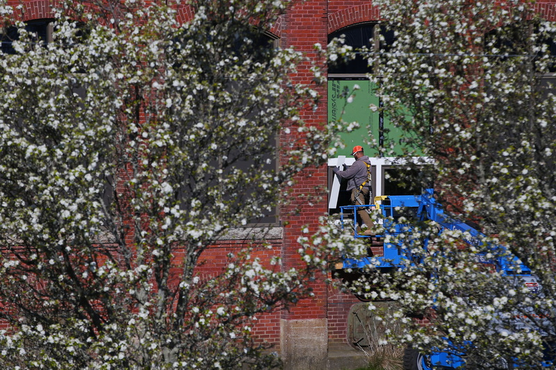 A man installing the framing of a window at a mill in the south end of New Bedford, MA is framed by a blooming tree. PHOTO PETER PEREIRA