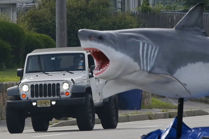 A Great White shark sculpture in front of Bounty Hunter Outfitters is ready to attack a driver making his way up Route 6 in Fairhaven, MA.