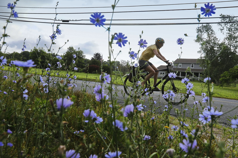 A woman rides past some colorful flowers on the side of Drift Road in Westport, MA. PHOTO PETER PEREIRA