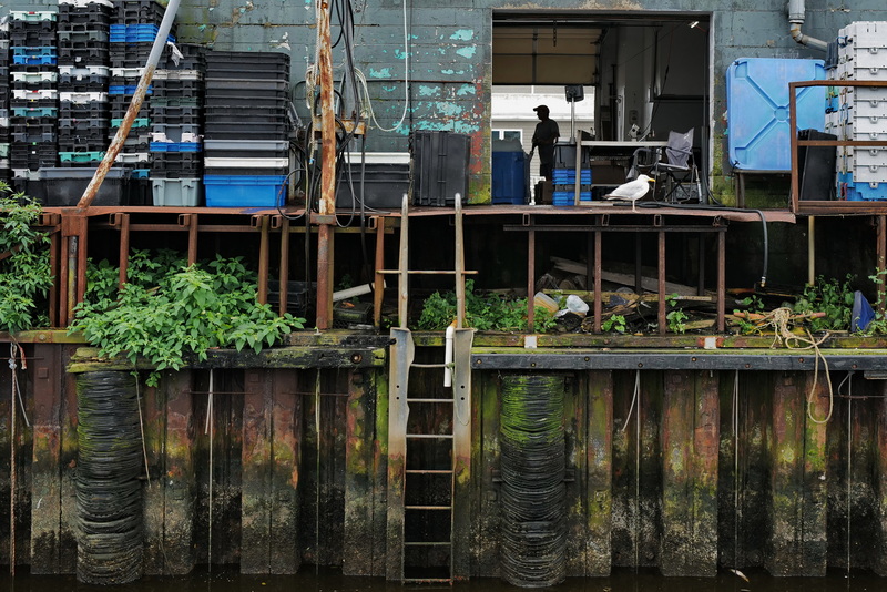 A worker walks across the loading dock of the New Bedford fish house.  PHOTO PETER PEREIRA