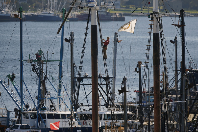 Lydia Dykema finds herself high above New Bedford's fishing fleet as she installs new rat-boards on the main mast of the schooner Morrissey-Ernestina docked at State Pier.  PHOTO PETER PEREIRA