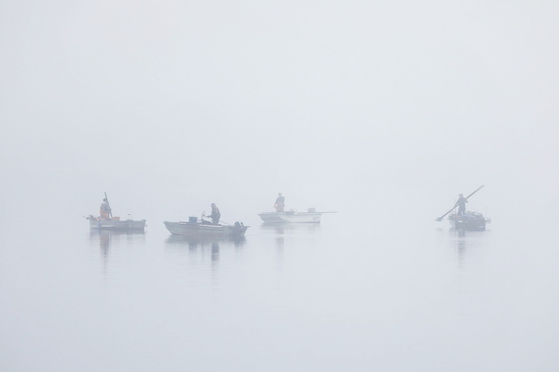 Shellfishermen rake for quahogs from their boats on the East Branch of the Westport River on a foggy morning in Westport. PHOTO PETER PEREIRA