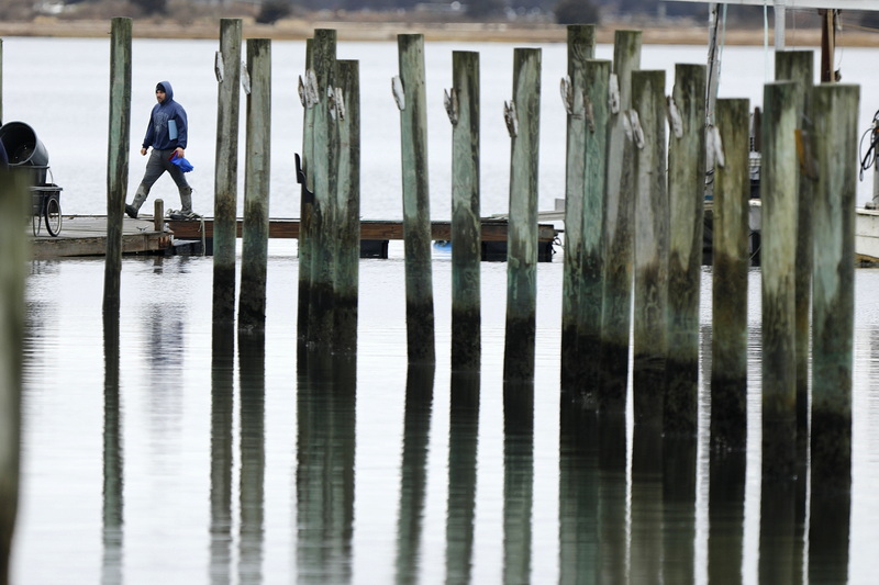 A man is framed by piles sticking out of the water on West Island in Fairhaven, MA. PHOTO PETER PEREIRA