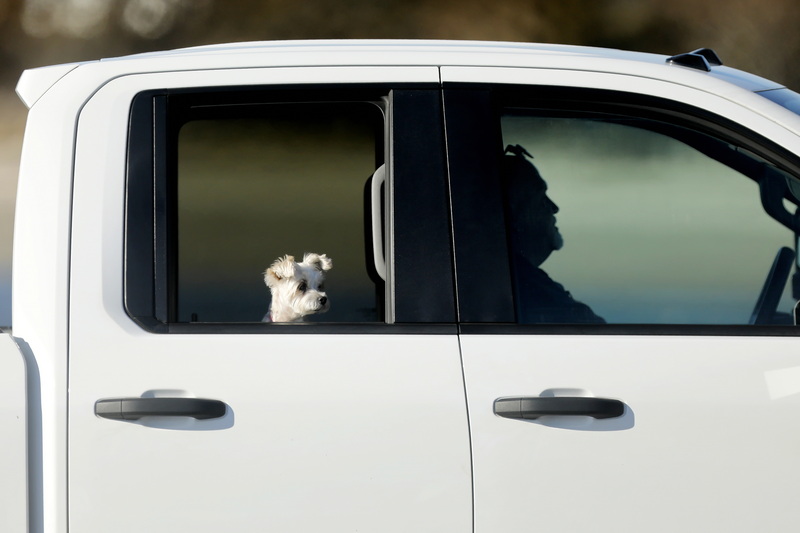 A small dog and a man look out into Mattapoisett harbor on a very cold morning.  PHOTO PETER PEREIRA