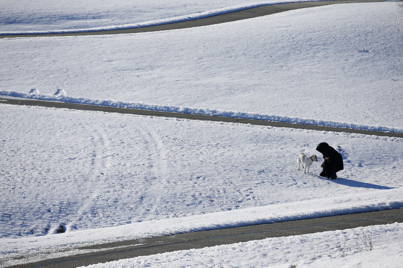 A woman wearing a cloak plays ball with her dog at a snow covered Fort Taber Park in New Bedford, MA. PHOTO PETER PEREIRA