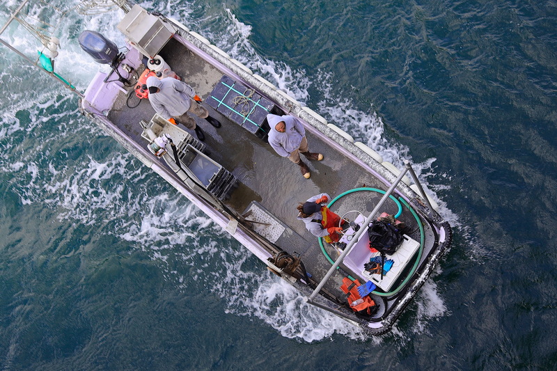 Riptide Oysters crewmembers navigate their boat under the Route 88 bridge in Westport, MA as they head out to harvest the oyster beds.  PHOTO PETER PEREIRA
