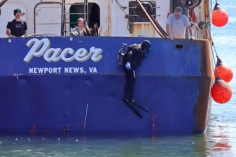 Fishermen aboard the F/V Pacer look on as James Mercer casts himself over the back of the fishing vessel into New Bedford, MA harbor�s waters to inspect for any lines tangled in the propeller. PHOTO PETER PEREIRA