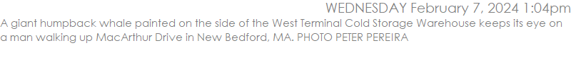 A giant humpback whale painted on the side of the West Terminal Cold Storage Warehouse keeps its eye on a man walking up MacArthur Drive in New Bedford, MA. PHOTO PETER PEREIRA