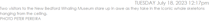 Two visitors to the New Bedford Whaling Museum stare up in awe as they take in the iconic whale skeletons hanging from the ceiling.  PHOTO PETER PEREIRA