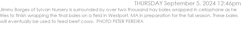 Jimmy Borges of Sylvan Nursery is surrounded by over two thousand hay bales wrapped in cellophane as he tries to finish wrapping the final bales on a field in Westport, MA in preparation for the fall season. These bales will eventually be used to feed beef cows.  PHOTO PETER PEREIRA