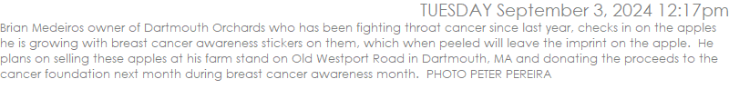 Brian Medeiros owner of Dartmouth Orchards who has been fighting throat cancer since last year, checks in on the apples he is growing with breast cancer awareness stickers on them, which when peeled will leave the imprint on the apple.  He plans on selling these apples at his farm stand on Old Westport Road in Dartmouth, MA and donating the proceeds to the cancer foundation next month during breast cancer awareness month.  PHOTO PETER PEREIRA